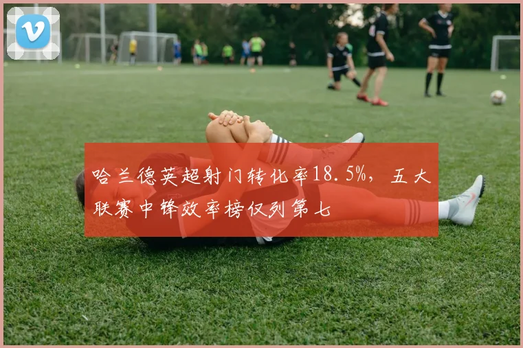 哈兰德英超射门转化率18.5%,五大联赛中锋效率榜仅列第七