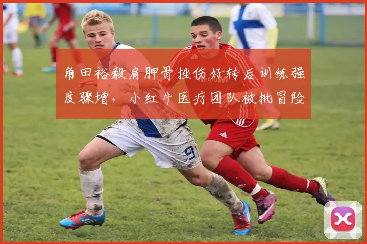 角田裕毅肩胛骨挫伤好转后训练强度骤增,小红牛医疗团队被批冒险